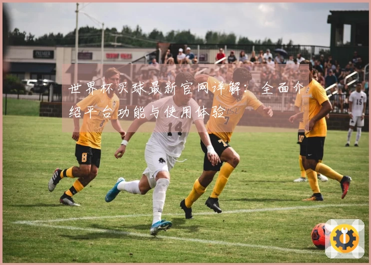 世界杯买球最新官网详解：全面介绍平台功能与使用体验