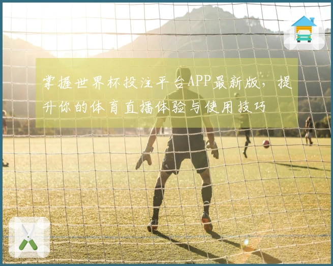 掌握世界杯投注平台APP最新版，提升你的体育直播体验与使用技巧