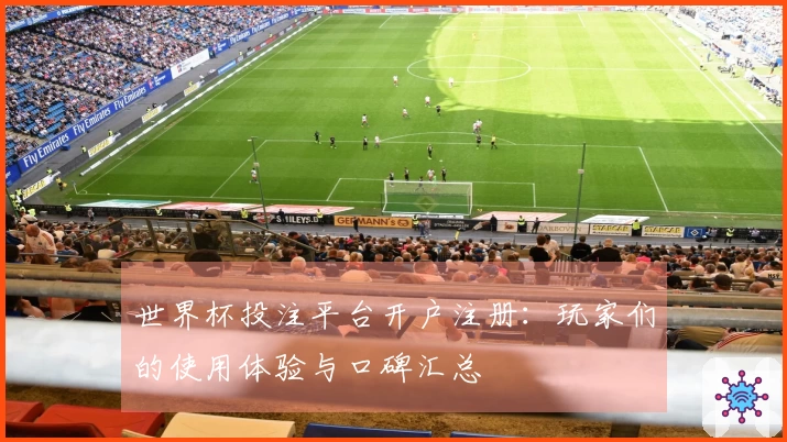 世界杯投注平台开户注册：玩家们的使用体验与口碑汇总