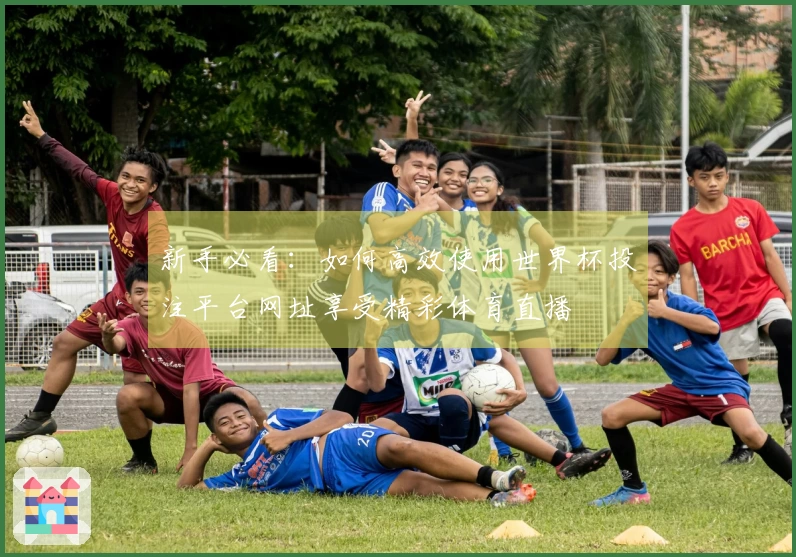 新手必看：如何高效使用世界杯投注平台网址享受精彩体育直播