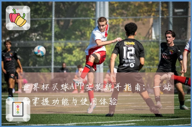 世界杯买球APP安装新手指南：一站式掌握功能与使用体验