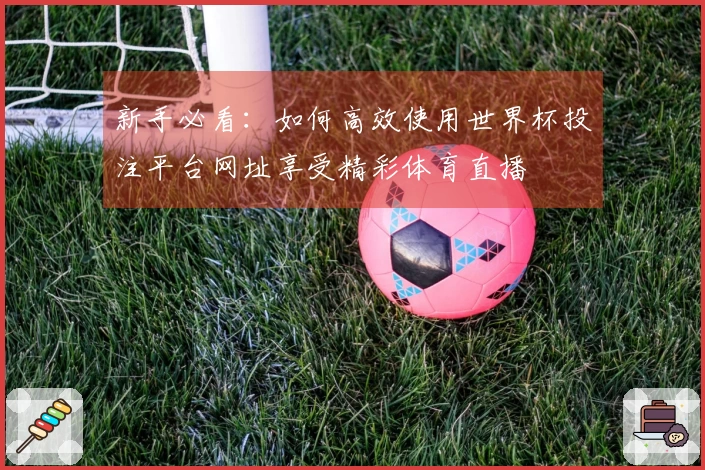 新手必看：如何高效使用世界杯投注平台网址享受精彩体育直播
